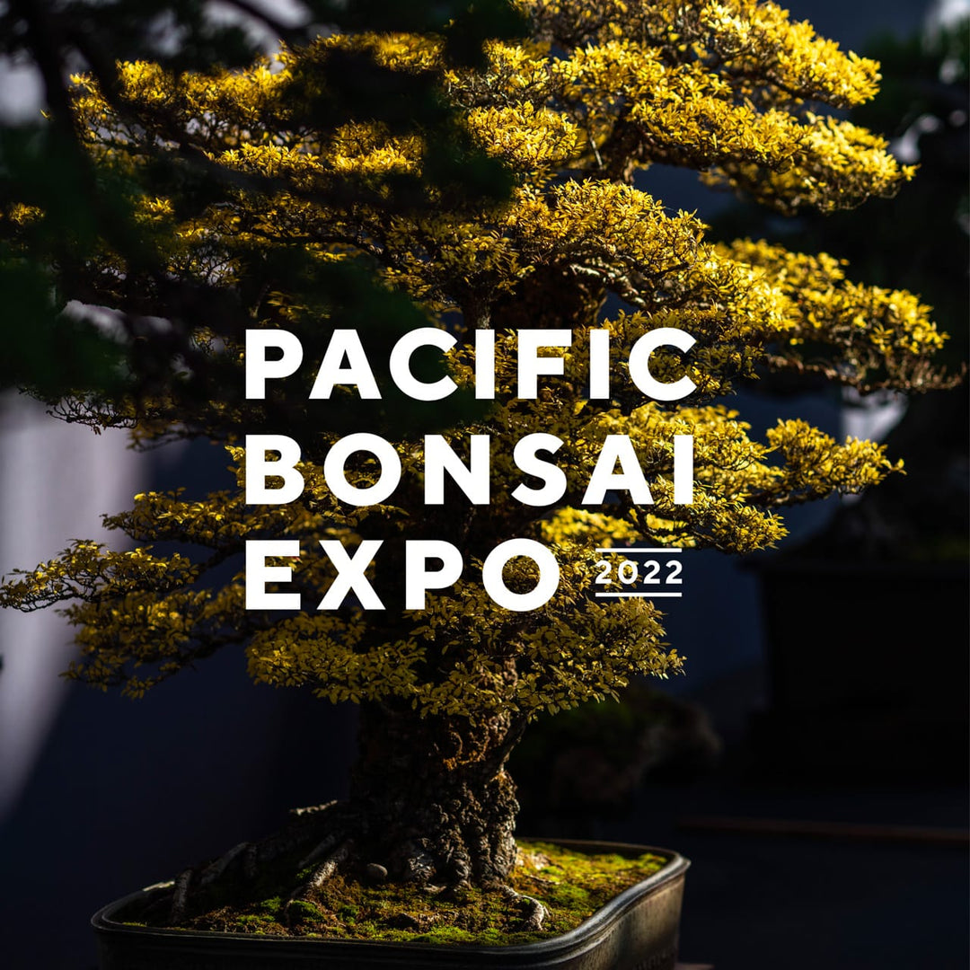 Pacific Bonsai Expo